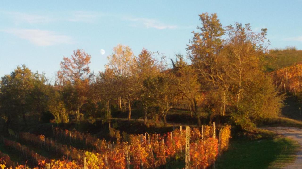 Cascina Torello 돌리아니 외부 사진