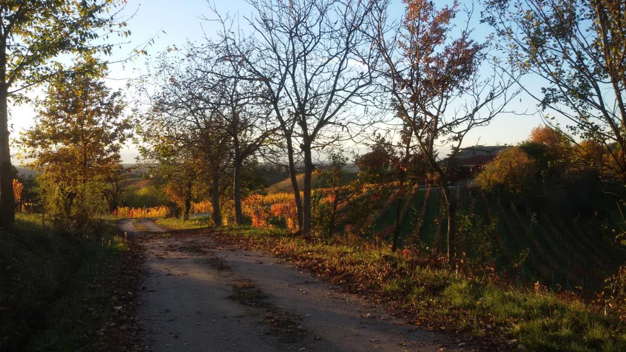 Cascina Torello 돌리아니 외부 사진