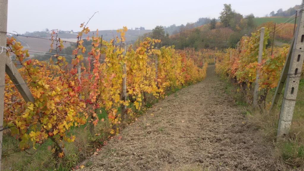 Cascina Torello 돌리아니 외부 사진
