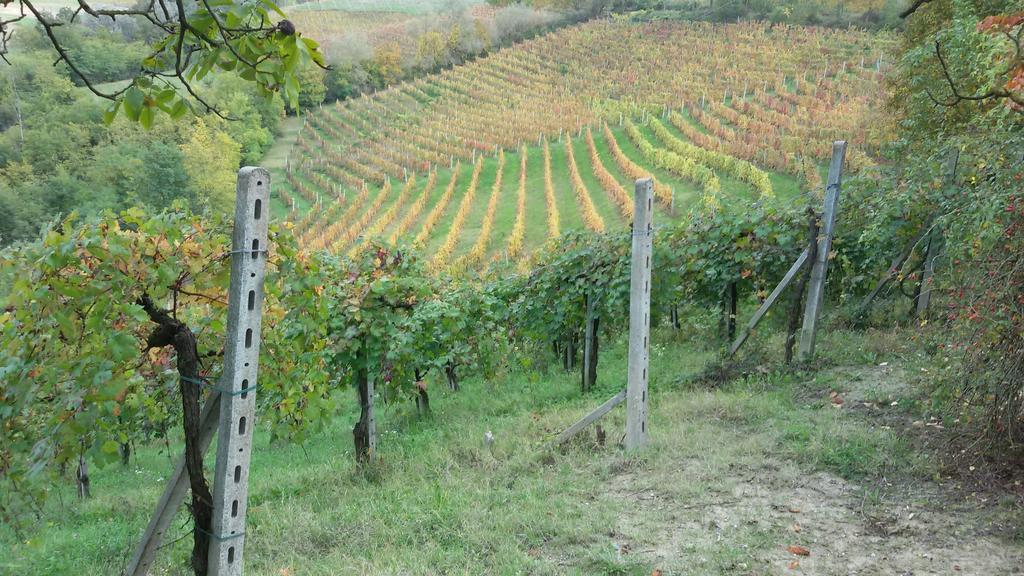 Cascina Torello 돌리아니 외부 사진