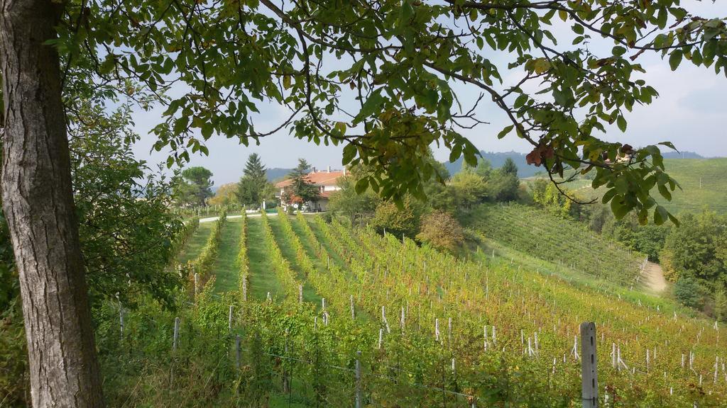 Cascina Torello 돌리아니 외부 사진