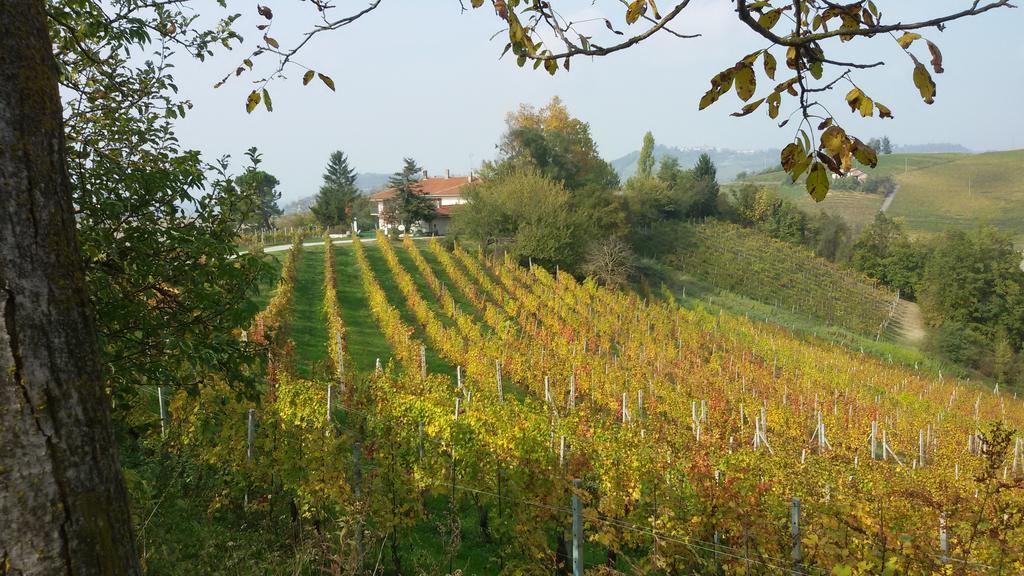 Cascina Torello 돌리아니 외부 사진