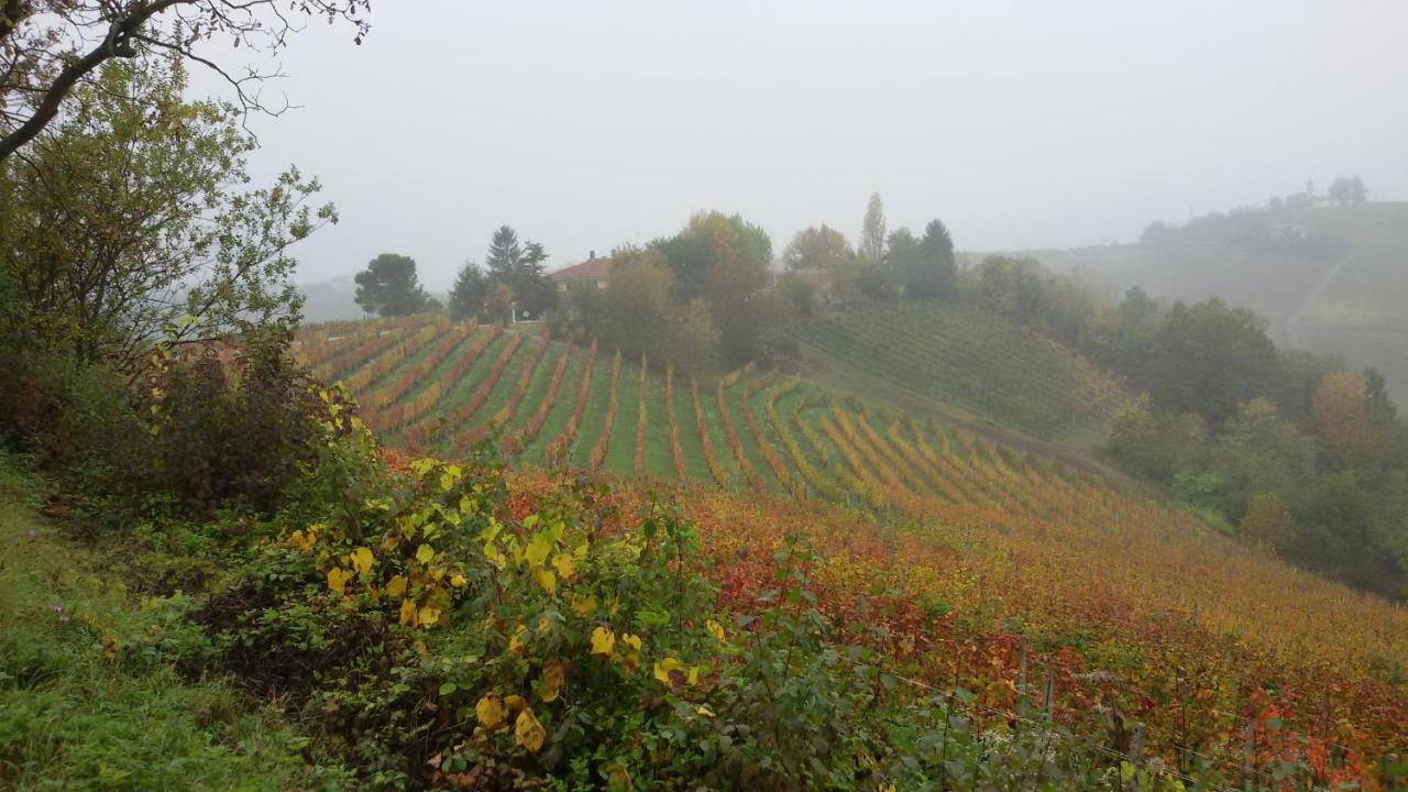 Cascina Torello 돌리아니 외부 사진